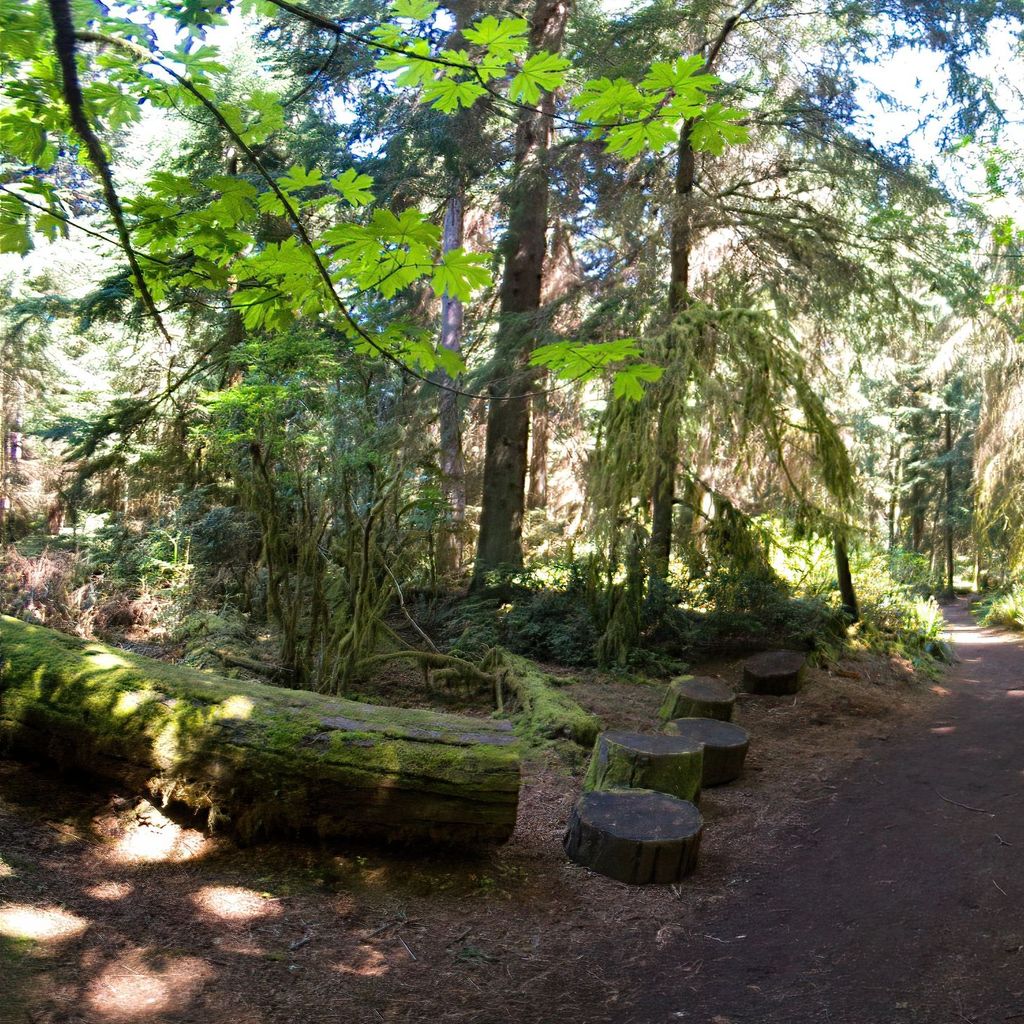 walking the trails