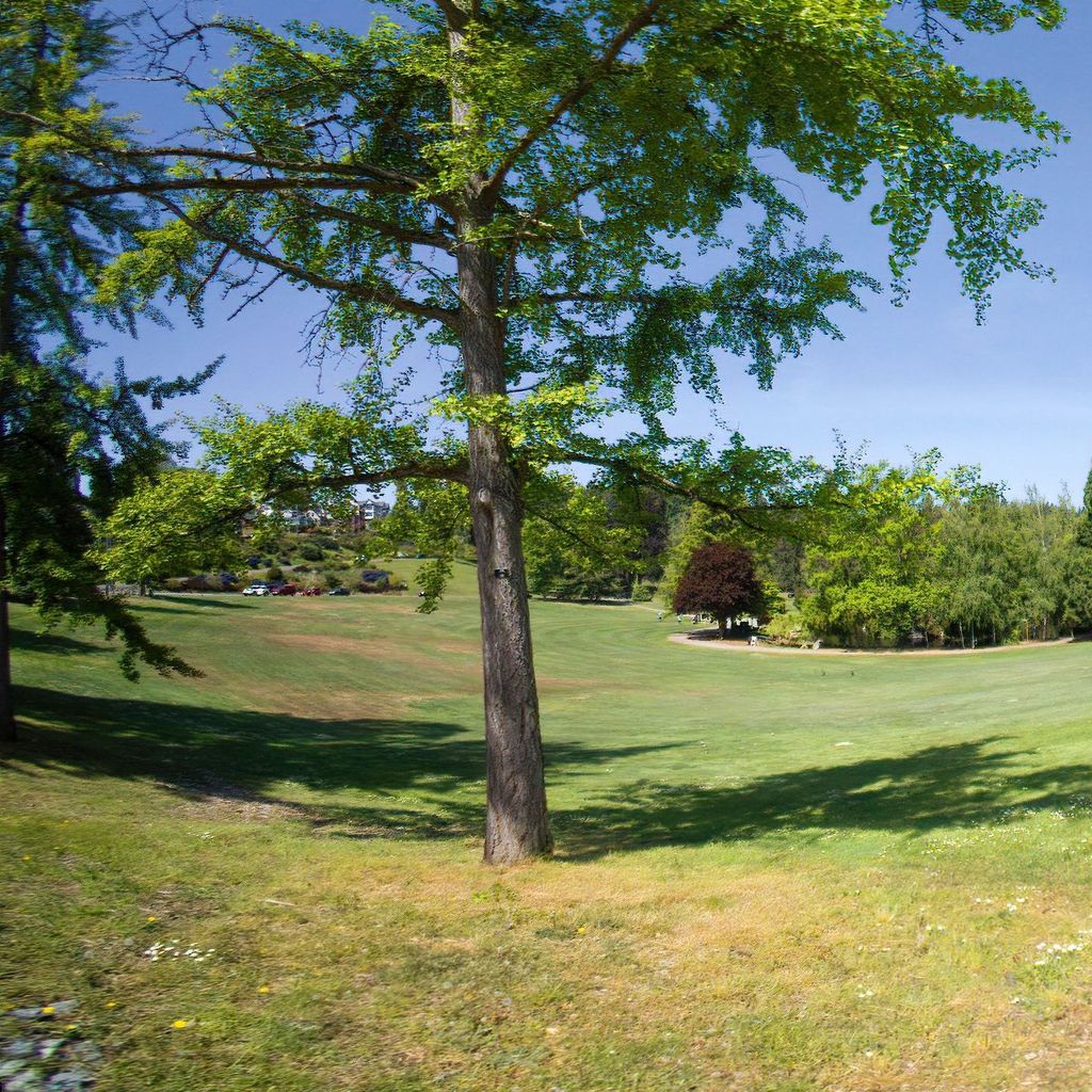 The Lawn and duck pond