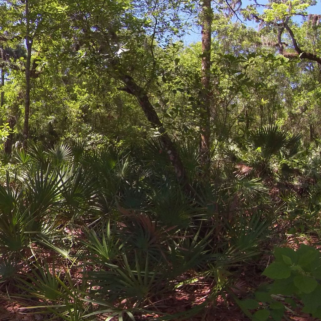 Hillsborough River