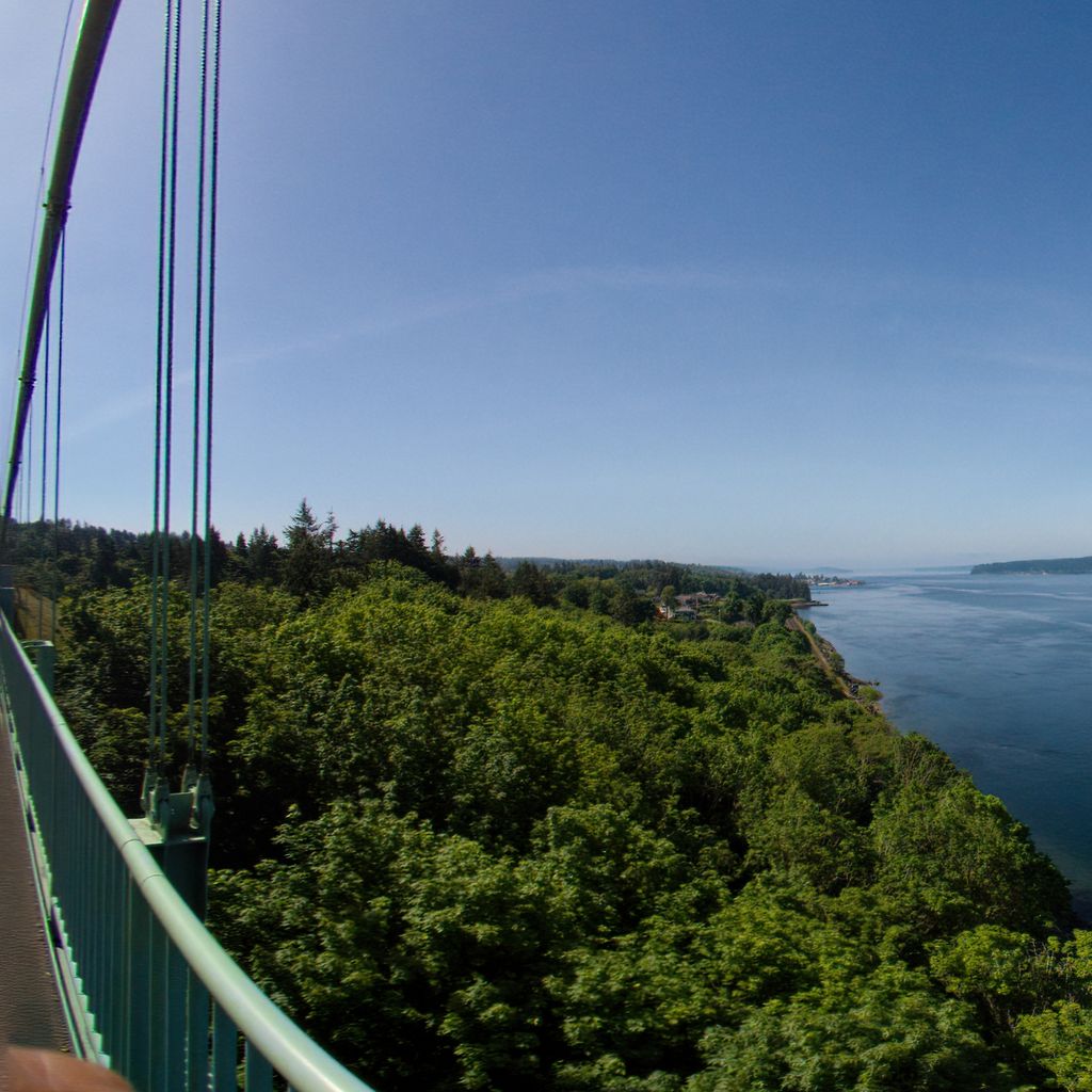 The Tacoma Narrows