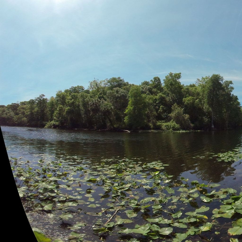 Hillsborough River, Temple Terrace FL