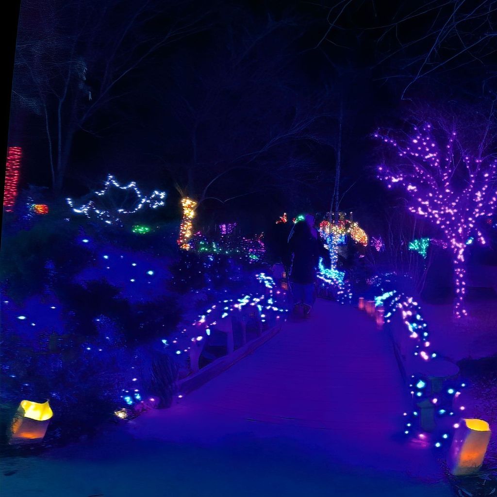 Botanica Illumination