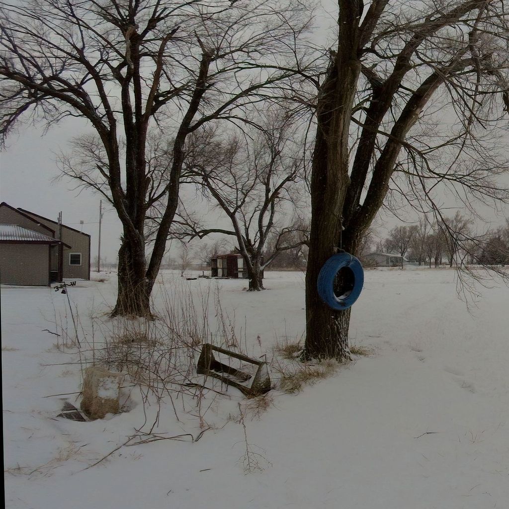 Snow in Kansas