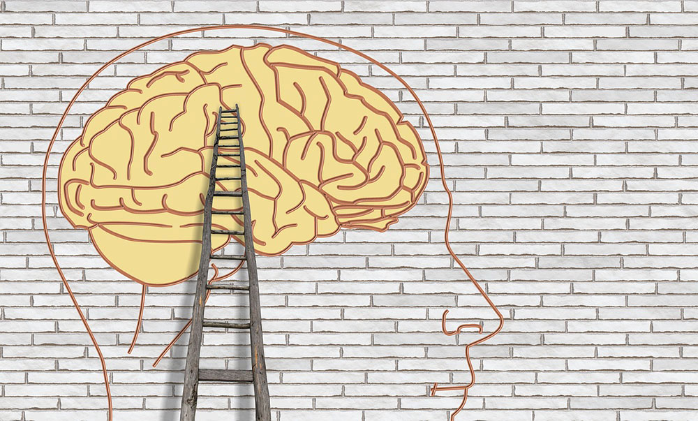 Define piaget's stages online of cognitive development