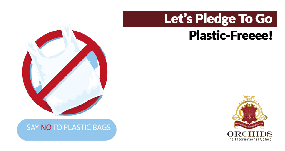 Back-off Plastic Bags! It’s Time to Go Green.