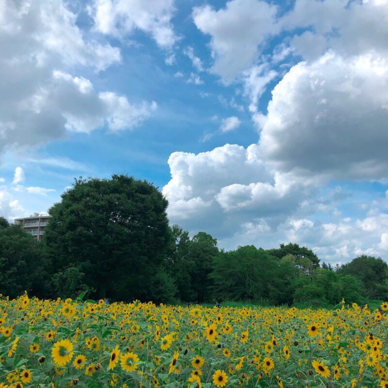 夏季休業に関してのアイキャッチ画像