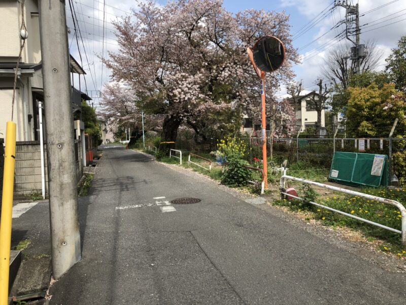 葉桜のアイキャッチ画像