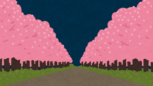 桜満開のアイキャッチ画像