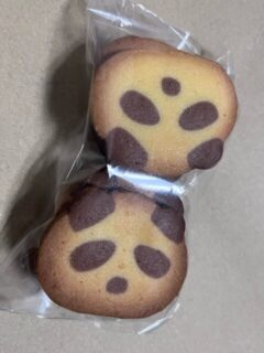 のアイキャッチ画像