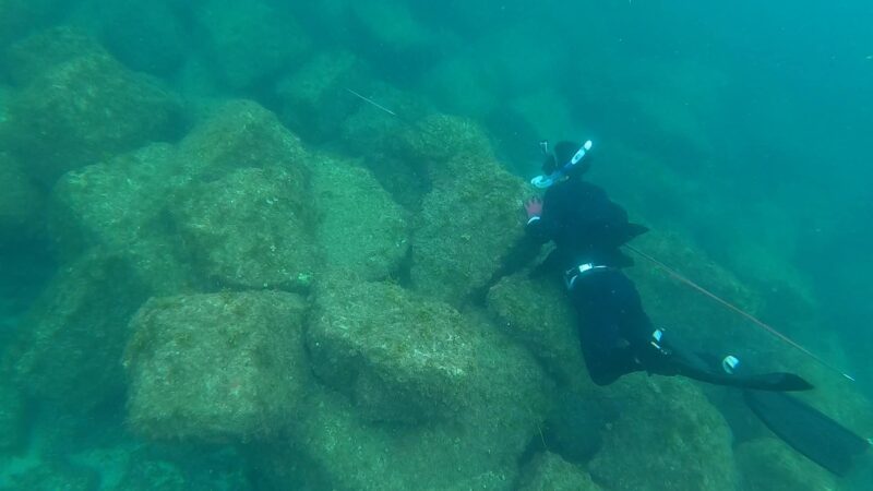 玄界灘の荒海でオーダースーツで素潜り魚突きにチャレンジ!のアイキャッチ画像