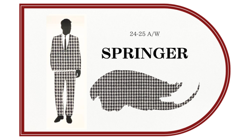 【SPRINGER】THE英国柄　ハウンドトゥースのアイキャッチ画像