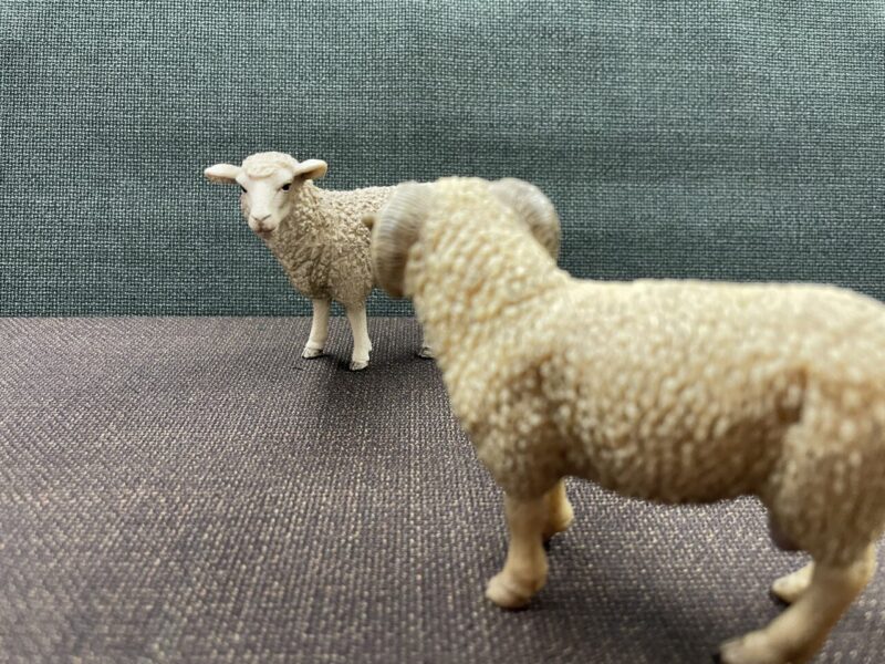 🐑スーツのお手入れ方法 パート4のアイキャッチ画像
