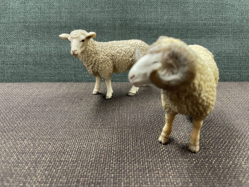 🐑スーツのお手入れ方法 パート3のアイキャッチ画像