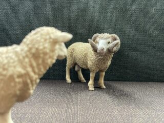 のアイキャッチ画像