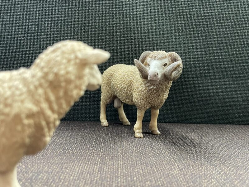 スーツのお手入れ方法 パート5のアイキャッチ画像