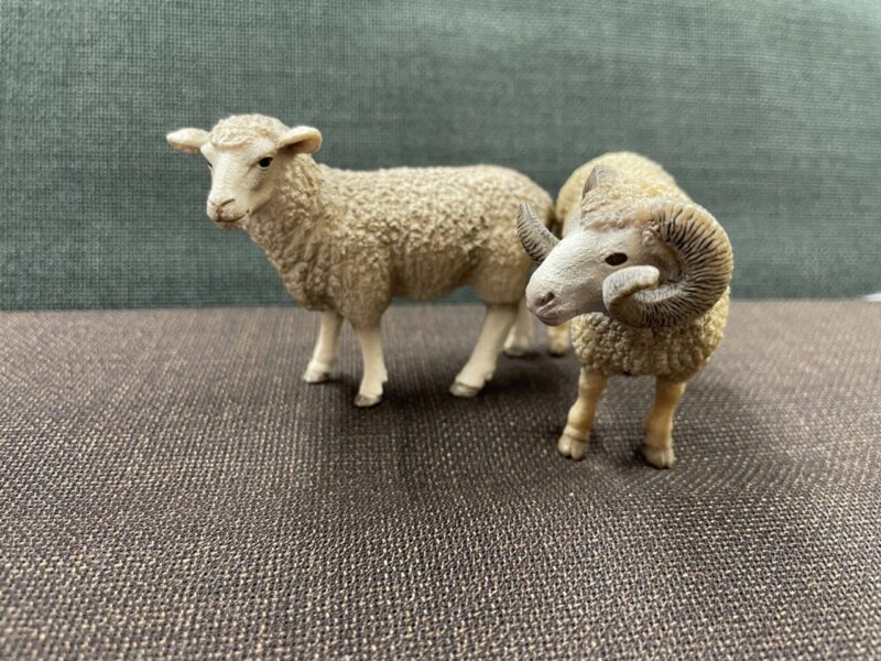 🐏スーツのお手入れ方法 パート1のアイキャッチ画像