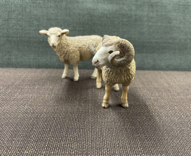🐏スーツのお手入れ方法 パート2のアイキャッチ画像