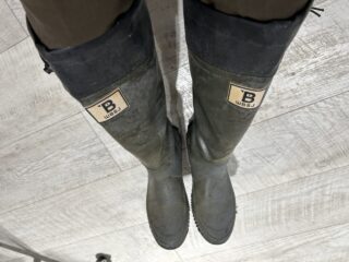 梅雨入りの画像