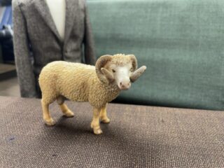 夏は、ブラウンの画像