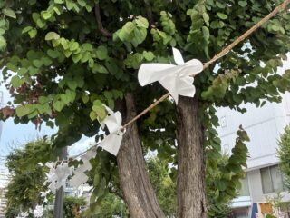 お祭りの季節ですねの画像