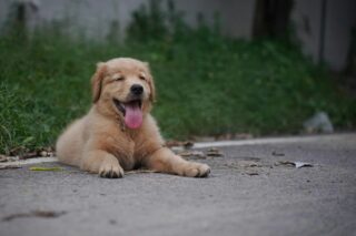 初回の方必見！　お得情報をご紹介😎の画像