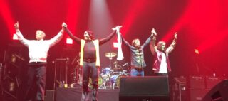 嘘だと言ってくれ！マニの画像