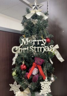 クリスマスツリー飾りました！の画像