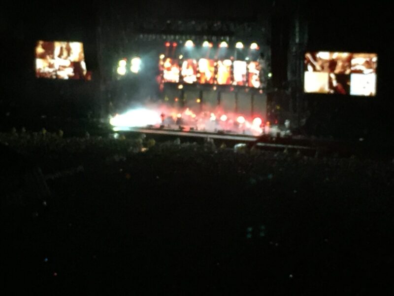 フジロックまで、あと半年！のアイキャッチ画像