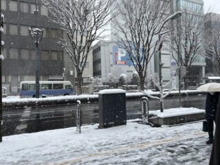 のアイキャッチ画像