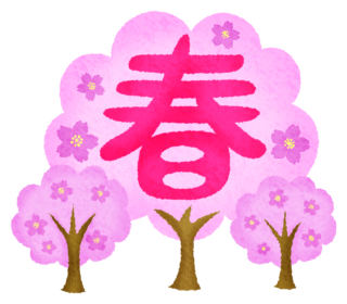 春は、白をまとう。の画像