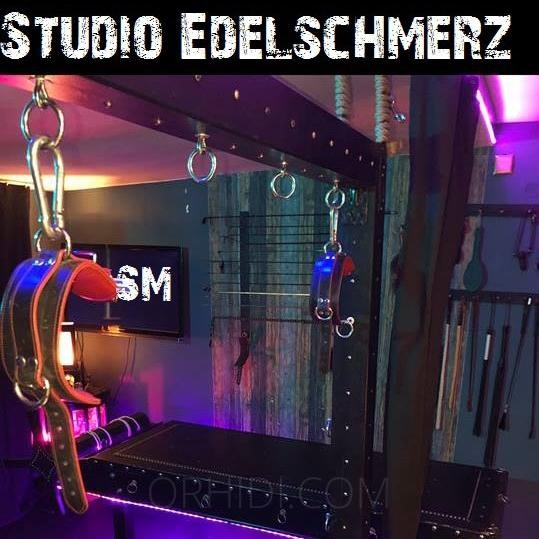 SM-Zimmer im Studio Edelschmerz - Schweiz - Miete ein ...