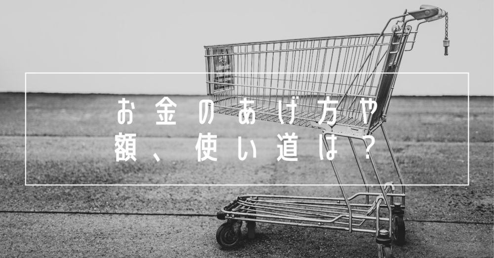 お金のあげ方や額、使い道は？