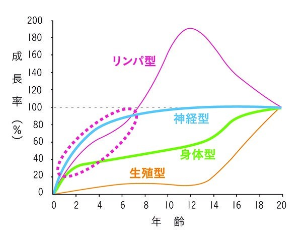 スキャモンの発達曲線