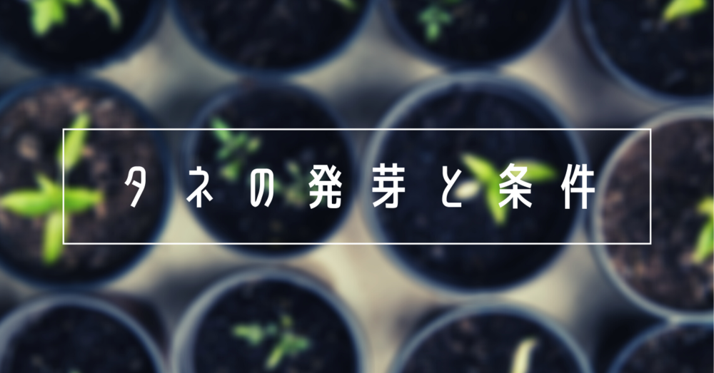 タネの発芽には何が必要？