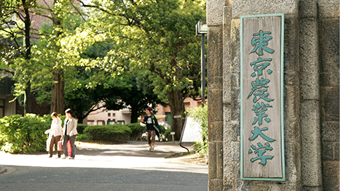 稲花小学校の基本情報