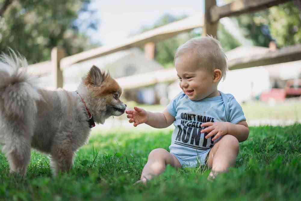 子どもとペットを飼うときの注意点