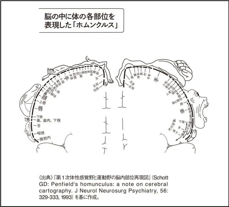 ホムンクルス