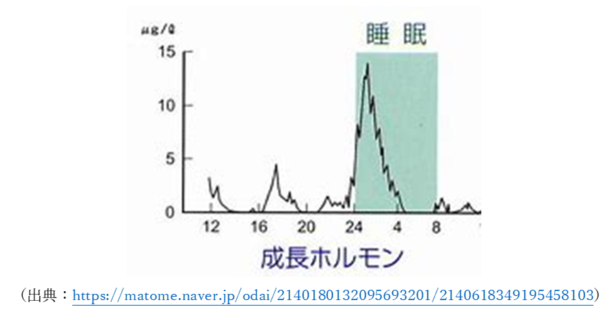 なぜ睡眠時間が必要なのか？