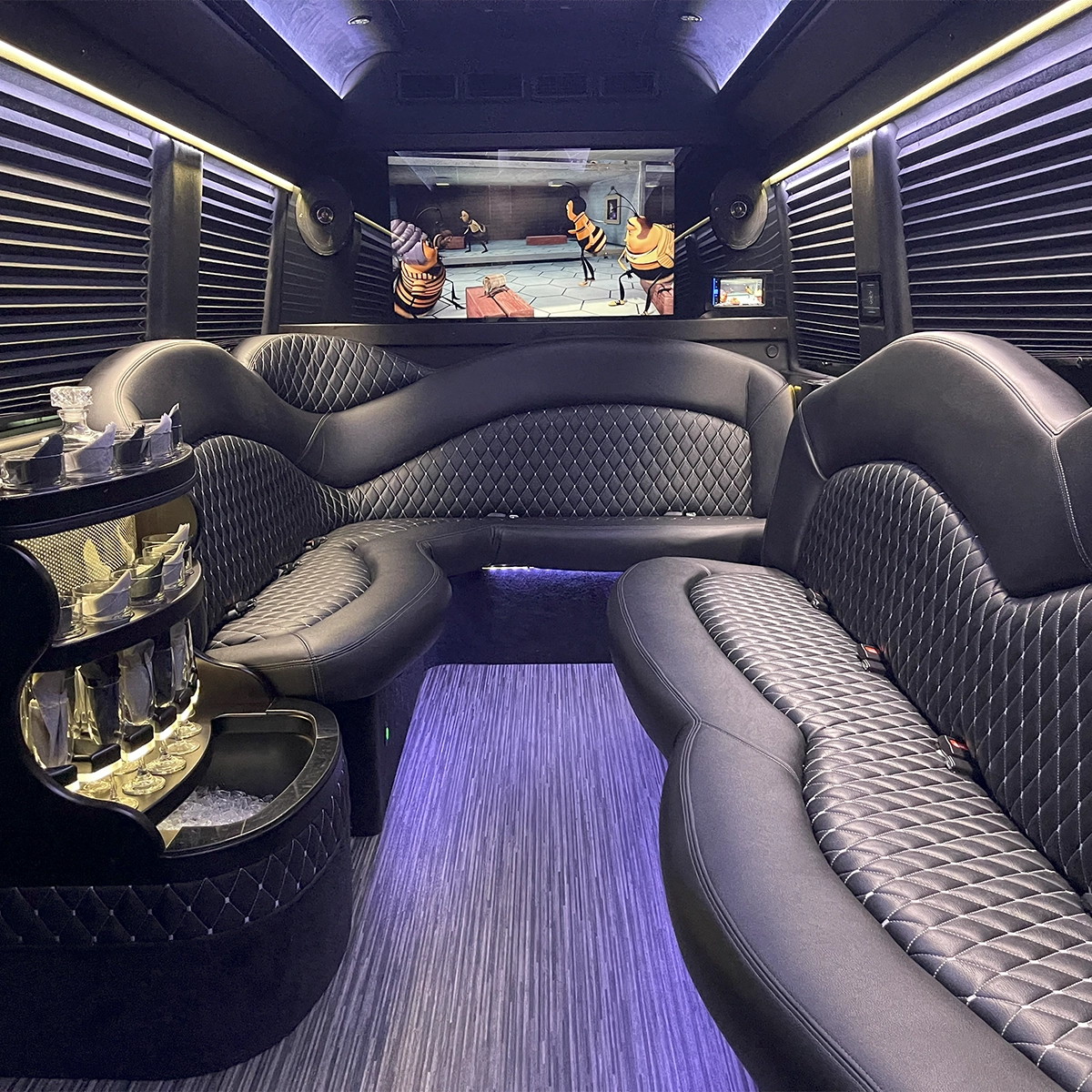 Sprinter Limo Concert Limo Interior 2