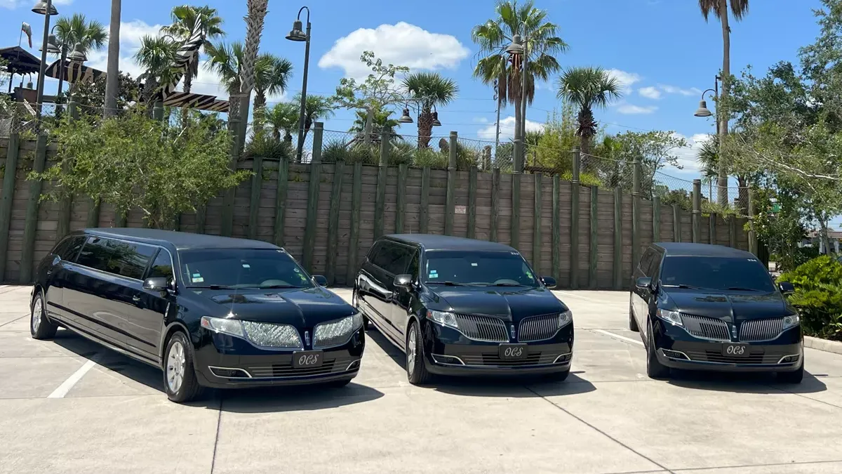 An Ultimate Guide to Stretch Limos: Rental, Services, and More!