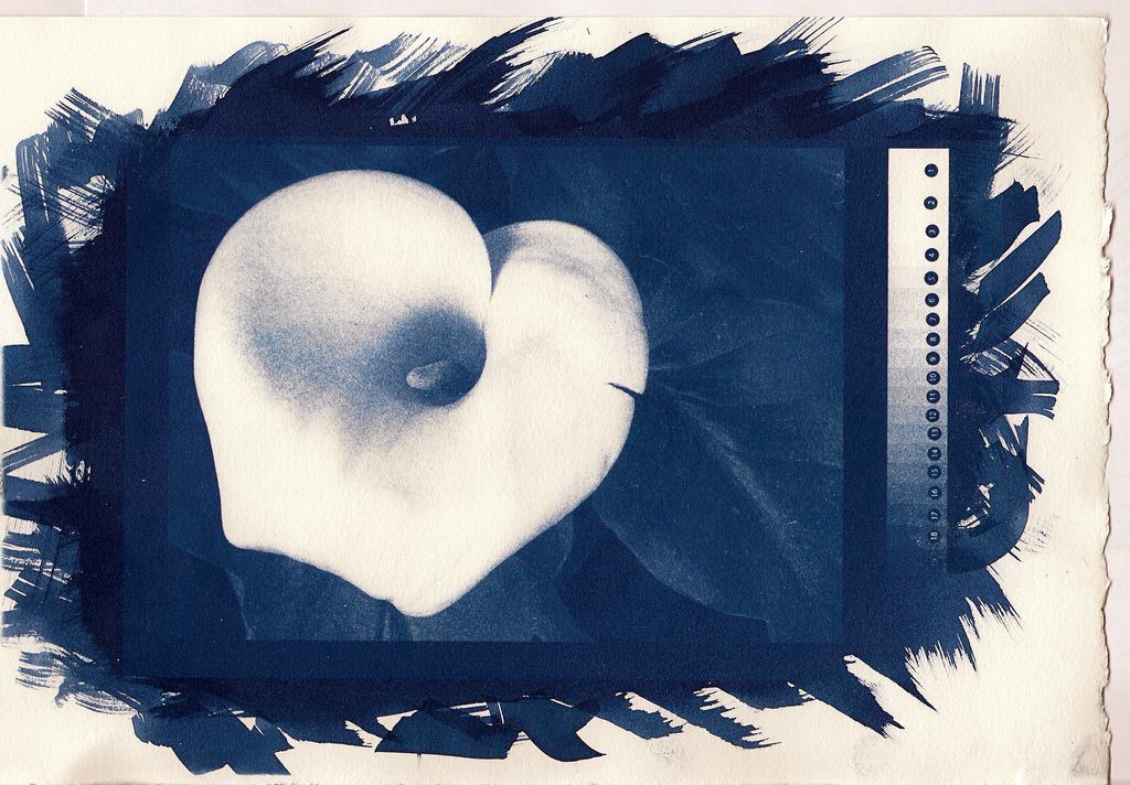 A LifeSize Cyanotype Photogram – Photography Contrastique – Alternative  Photographic Processes