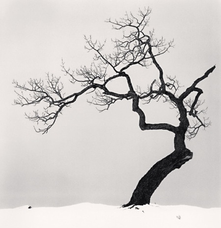 Michael Kenna 08