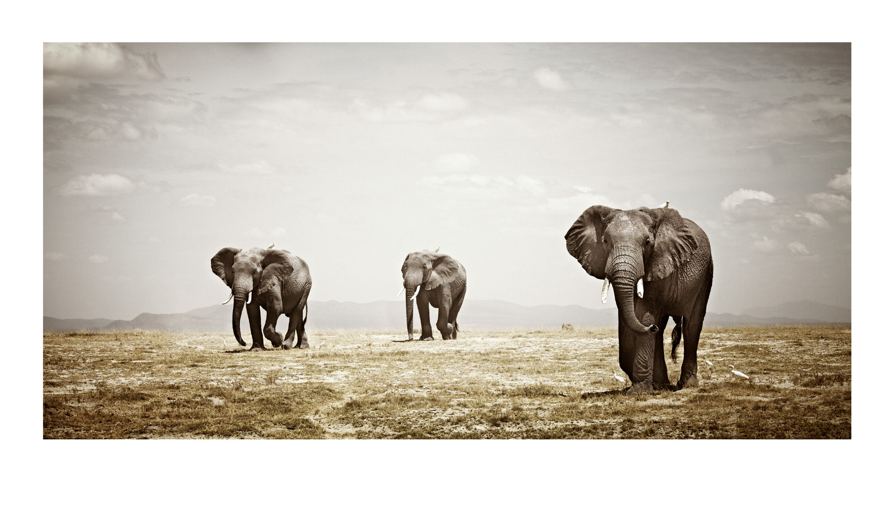 Visiting a Masai Village - Klaus Tiedge Fine Art Wildlife Photography