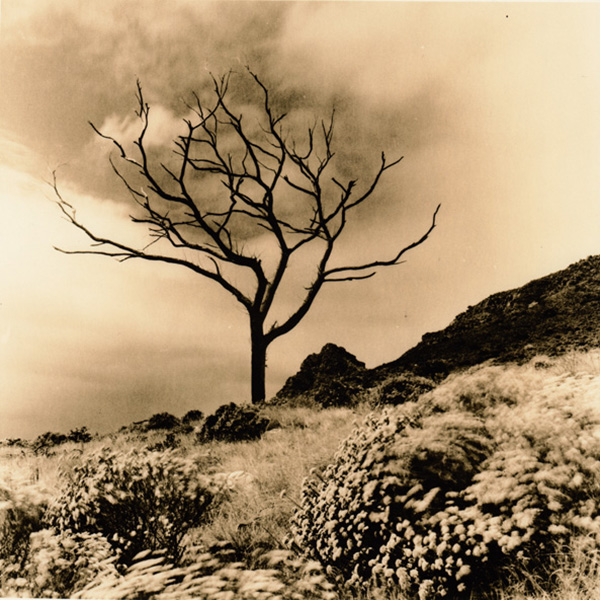An Introduction To Lith Printing In The - The Orms Photographic Blog
