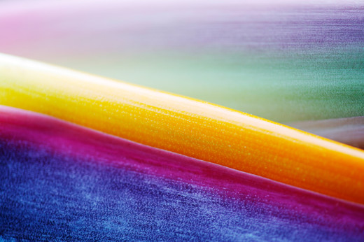 A12_Neil Overy_Strelitzia Spectrum