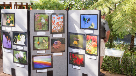 Kirstenbosch 05