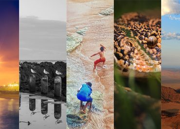 Images from November Photo Of The Month Competition