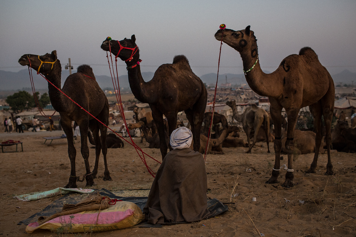 Photo-Journalism-Pushkar-Fair-India-by-Anthony-Pappone