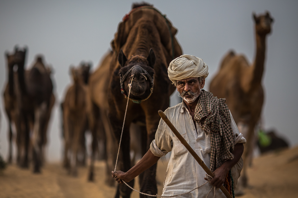 Photo-Journalism-Pushkar-Fair-India-by-Anthony-Pappone