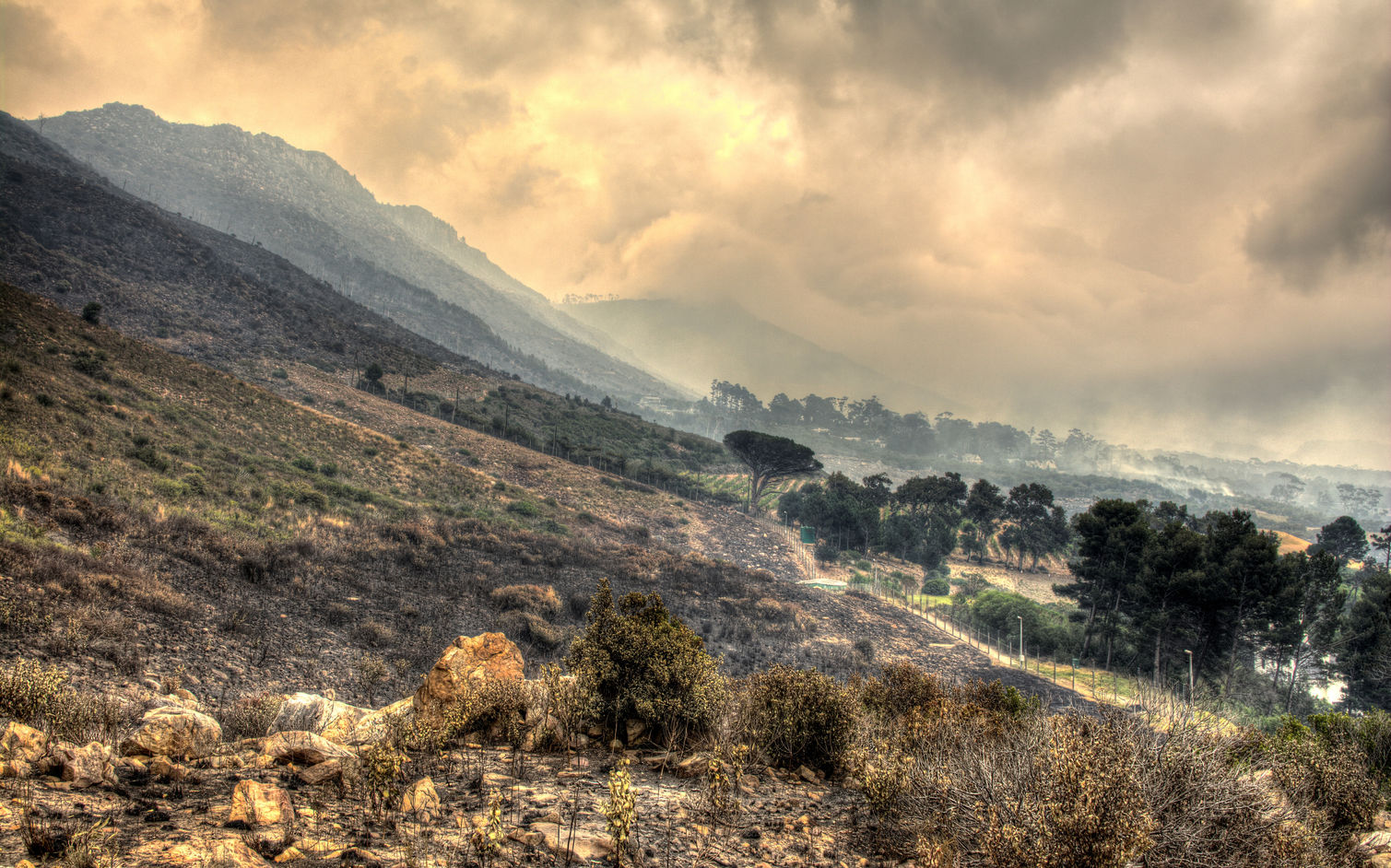 Cape-Town-Fire-March-2015-image-by-Greg-Hillyard-Photography-on-Orms-Connect-Photography-Blog